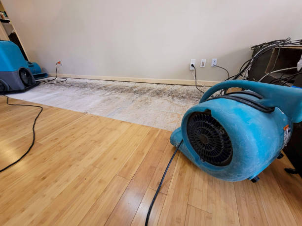 Professional Structural Drying technician working in Pacific, MO